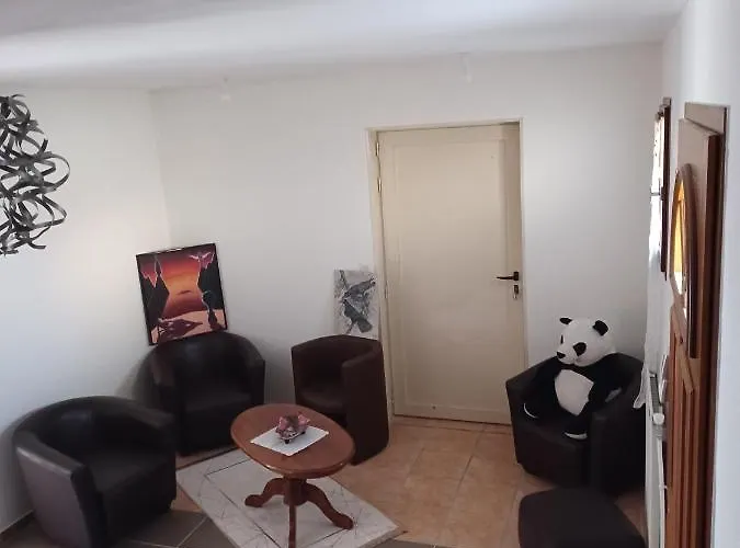 Dynamique Et Splendide Appartement *