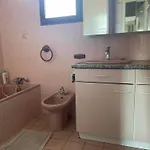 Dynamique Et Splendide بورْجْوا
